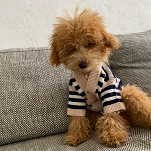 Striped Button-Down Cardigan looks darling on Poodles.