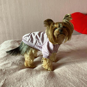 Lilac Sporty Dog Hoodies Sweatshirt fits small dogs like Yorkshire Terrier.