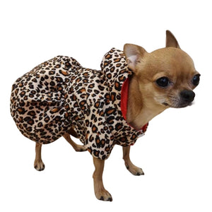 This Reversible Red Leopard Hooded Dog Coat is adorable on Chihuahuas and other small breeds.