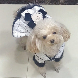 This luxurious Handmade Tweed Dog Dress Coat fits small dogs like Maltese.