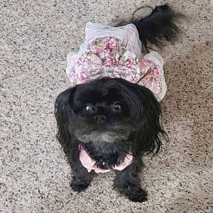 This adorable Vintage Rose Harness Dog Dress & Leash Set from our Spring/Summer collection fits small dogs and comes with a matching leash.