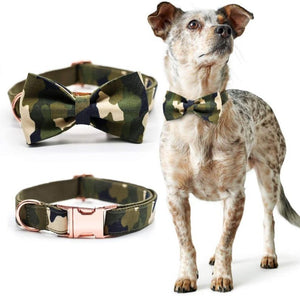 Medium dogs look chic wearing the Camouflage Bow Tie Dog Collar
