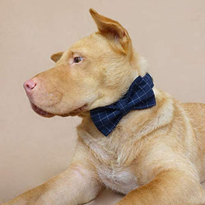 Small, medium and large dogs look posh in these bow tie collar and leash matching sets.