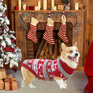 Classic Deer Print Dog Sweater fits Cordis.