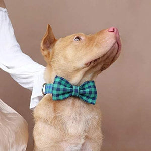 Small, medium and large dogs look posh in these bow tie collar and leash matching sets.