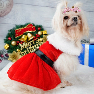 Available in 2 styles, Mrs. Claus (pictured) or Green Bow, these Santa Christmas Dog Party Dresses fit small to medium dogs like Maltese.