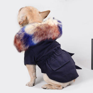 This Luxurious Faux Fur Hooded Dog Jacket in navy blue is darling on small and medium dogs. 