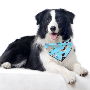 Animal Friends Dog Bandanas fit small, medium and large dogs.