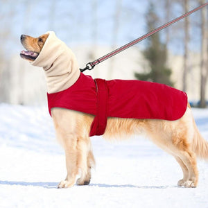 Your large pal will be cozy all autumn/winter long in this Waterproof Fleece Dog Coat, featuring an extended neck and splashproof fabric