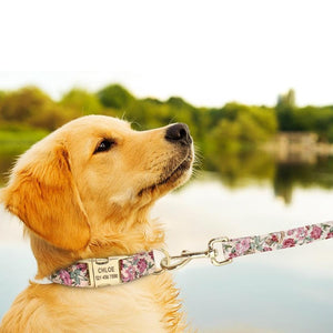 Available in 3 colors, this luxurious floral collar set is perfect for small, medium and large breed dogs.