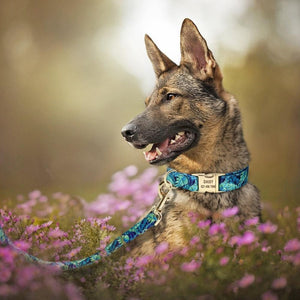 Available in 3 colors, this luxurious floral collar set is perfect for small, medium and large breed dogs.