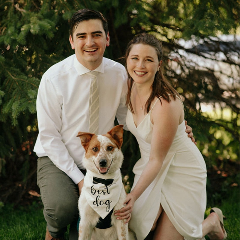 Include your dog in your wedding with these Dog of Honor or Best Dog bandanas.