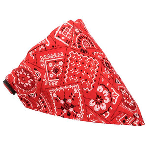 Red Cool Dude Dog Bandana Collar