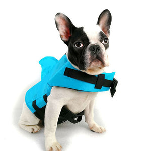 Dog life vests are perfect for beach days and water sports. 