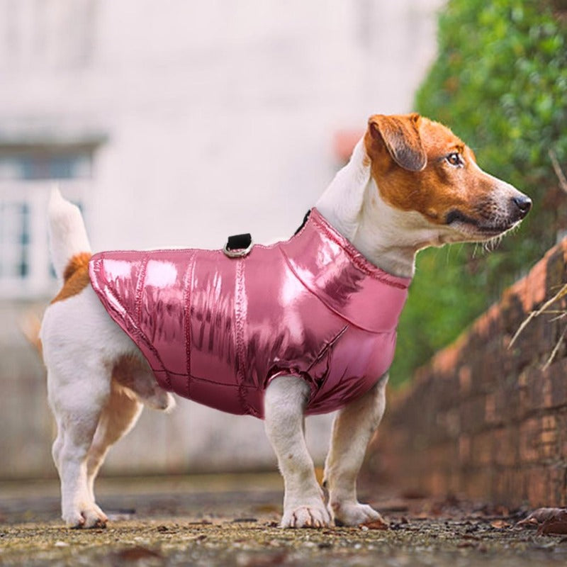 Keep your dog warm on autumn/winter days with this Chic Waterproof Puffer Dog Coat that is bound to make your pal the talk of the town.