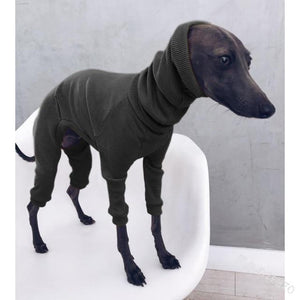 Long-Sleeved Turtleneck Dog Sweater