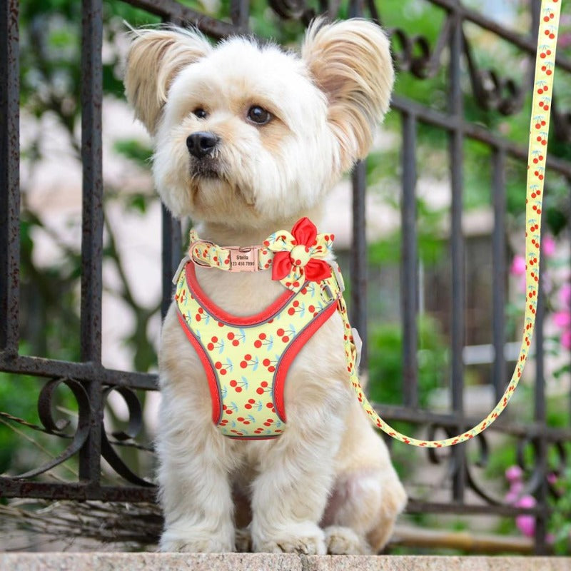Show off your pup’s personality with this bright Cherries 3-Piece Harness matching set, which includes a Harness, Personalized Flower Dog Collar and Leash.