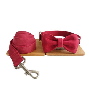 Vibrant Red Bow Tie Dog Collar & Leash Set