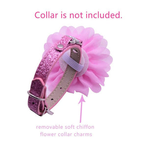Flower sliders slip onto the collar and are removable. Collar is not included.