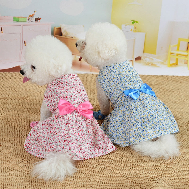 Available in pink or blue, this Dainty Floral Blossoms Dog Dress is a versatile addition to your dog's spring/summer wardrobe.