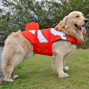 Dog life jackets are perfect for lake outings and water sports.