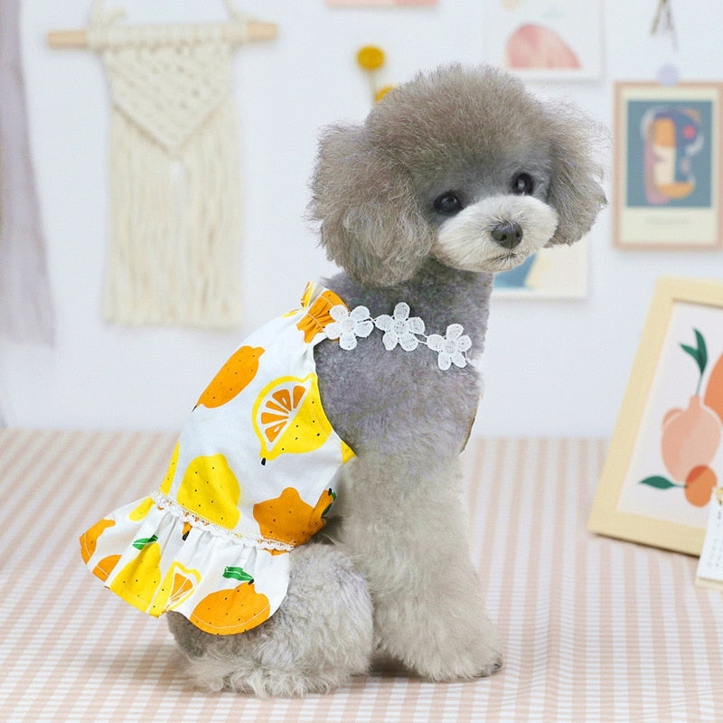 Refreshing on a hot summer day, this Tropical Fruits Dog Sundress features a citrus fruit pattern and daisy lace shoulder straps. 