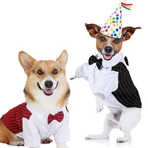 Pinstripe Suit Vest Set is perfect for small and medium breed dogs.