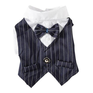 Pinstripe Suit Dog Vest in blue.