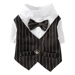 Pinstripe Suit Dog Vest in black.