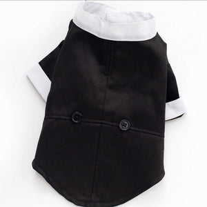 Classic Black Tie Tuxedo is perfect for small dog breeds.