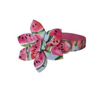 Watermelon Flower Dog Collar with pink lining. Flower is detachable.
