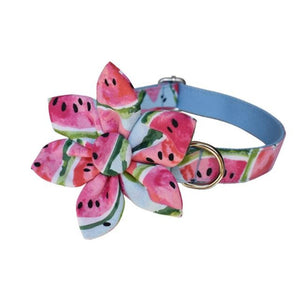 Watermelon Flower Dog Collar with light blue lining. Flower is detachable.