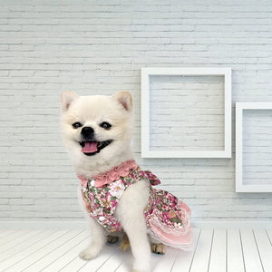 This adorable Vintage Rose Harness Dog Dress & Leash Set from our Spring/Summer collection fits small dogs.