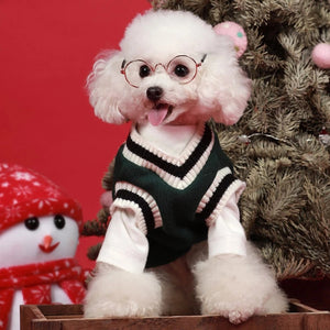 Available in 4 colors, this Preppy V-neck College Dog Sweater fits small, medium and large dog breeds.