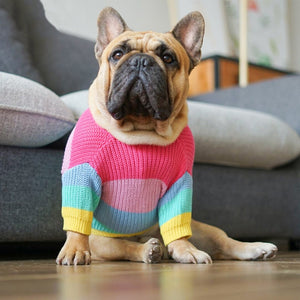 Rainbow Dog Sweater comes in 4 sizes.