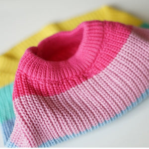 This knit Rainbow Dog Swater has a classic crew neck.