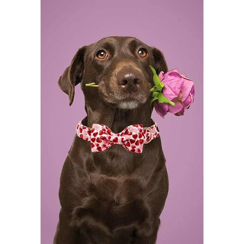 This Valentine Red Heart Bow Tie Dog Collar set by Unique Style Paws will have your pup bursting with love.  