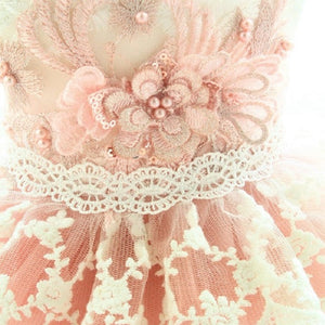 Ornate lacework adorns this Grace Designer Dog Party Dress.