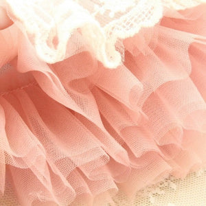 Grace Designer Dog Party Dress features a layered tulle skirt.