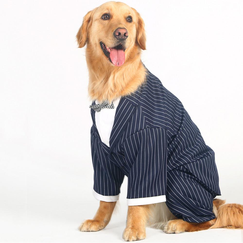 Whether it's a birthday, anniversary or wedding, your puppy pal can look the part with Posh Dog Life's formal dog tuxedos and ties to mark the big occasion. Your boy will look dapper in black tie.