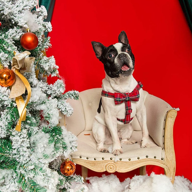 Our Christmas favorites feature festive picks your dog will love for the holidays and gifts for dog owners too.