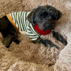 Pup wearing Retro Striped Dog Sweater