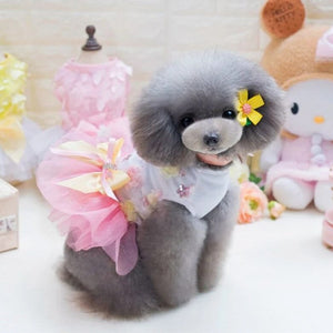 Poodle wearing Dainty Garden Party Dress