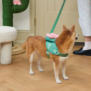 Shiba Inu in 3-in-1 floral backpack set