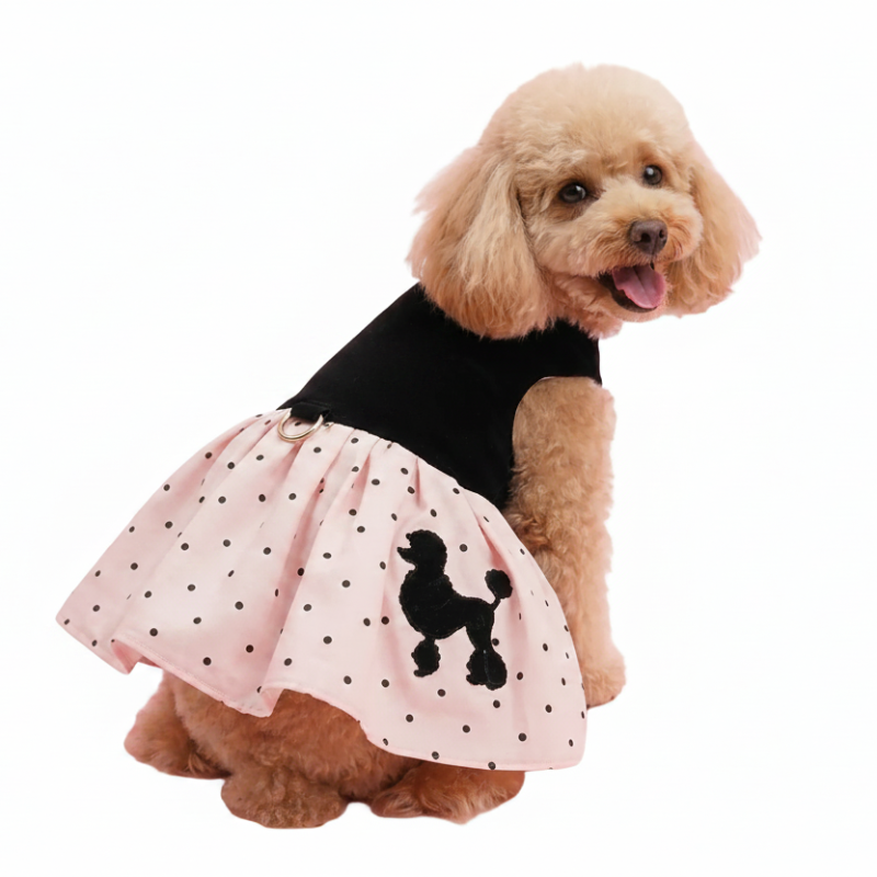 Dog wearing a miniature poodle harness dress