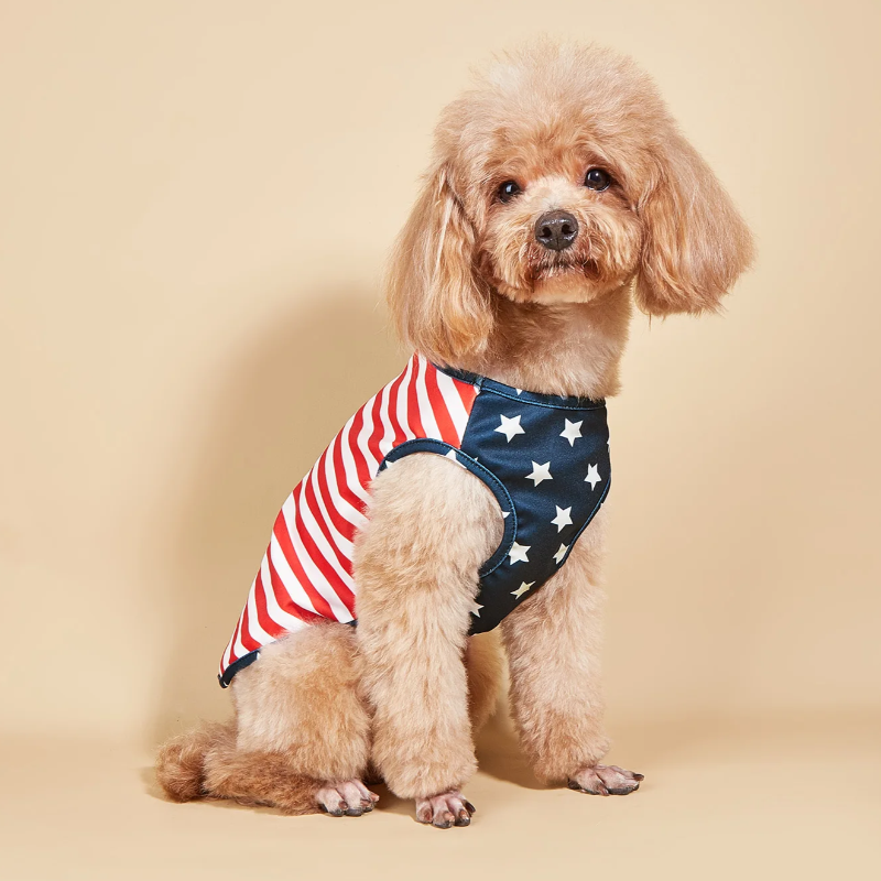 Patriotic dog shirt hotsell