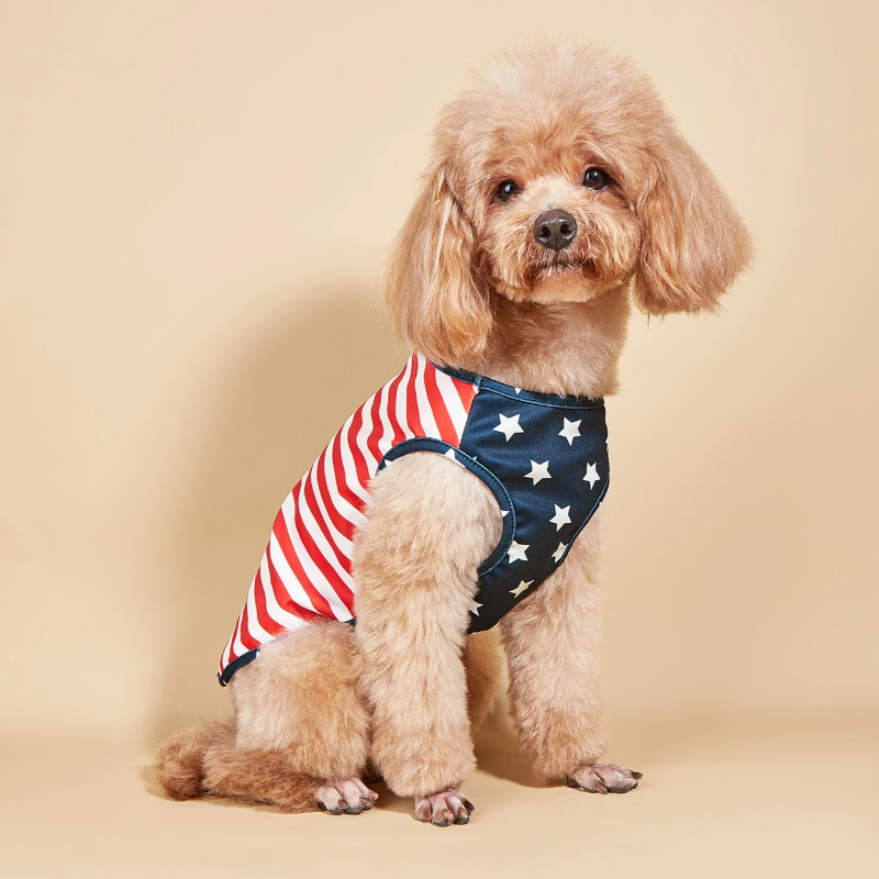 Patriotic Stars Stripes Dog Shirt