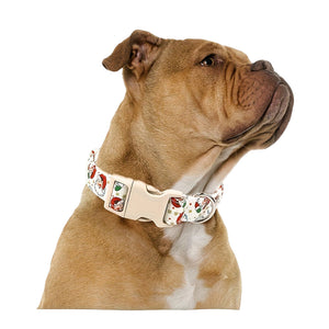 Dog wearing a Christmas-themed collar with festive decorations on a white background.