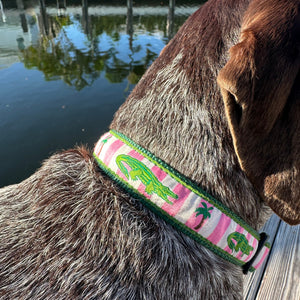 Dog wearing a collar with a pink and green alligator pattern near a body of water.
