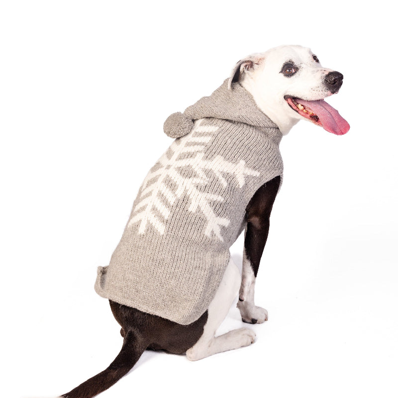 A doodle wearing a gray knit pet sweater with a white snowflake pattern and a pom-pom hood  against a white background.